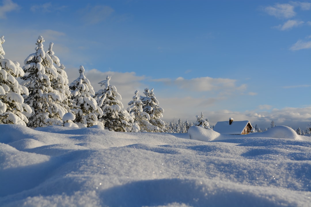 Photo Winter haircare